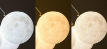 Load image into Gallery viewer, Nebula - Lunar LED Light Fixture
