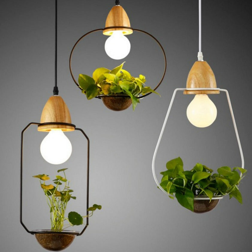 hanging plant pendant light Lily