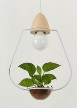 Load image into Gallery viewer, Wooden Lamp Base Planter Pendant Lights
