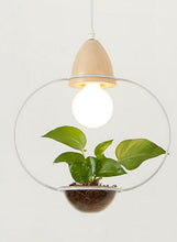 Load image into Gallery viewer, All Natural Wood Planter Pendant Lights
