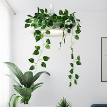 Load image into Gallery viewer, Circular Hanging Garden Plant LED Pendant Light
